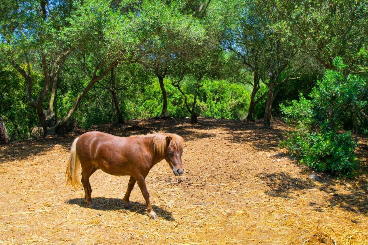 Es Fangar By Mallorca Selection